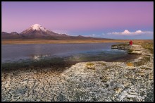 Park Sajama (Bolivien) / ***