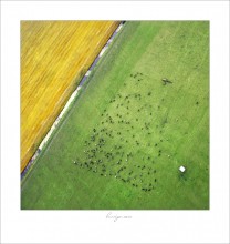 Farbe Leben / ***