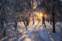 Eisiger Morgen / -25