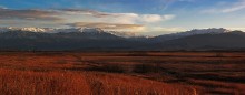 The Caucasus / ***