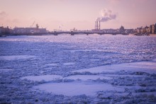  / purple snow