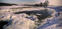 Schnurrbart an einem frostigen Morgen / ***