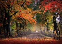 Herbst-Cocktail / *******