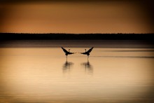 Zeit der Liebe / ***