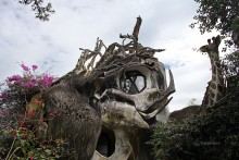 Rhinoceros in "Krezi Haus" / ***