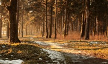 Frühling / ....