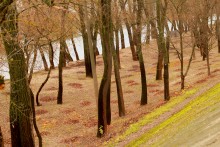Park / ***