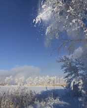 Blau, blau Frost / ***