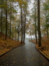 Im Herbst Park / ***