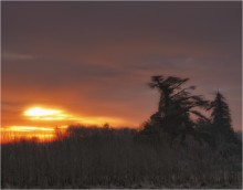 Country ... im Morgengrauen ... / ***