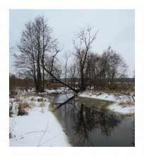 Der Ansatz der Feder / ***