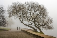Zwei im Nebel / *****