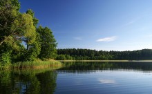 zurück in den Sommer / ,,,,,