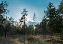Erwachen / ***