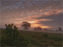 Misty Morgengrauen ...... / ***