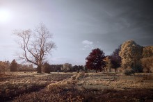 When the time is sleeping / No season, no time, couple