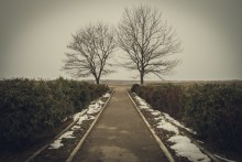 Warten auf den Frühling / ***