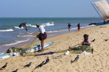 Küste Negombo / ***