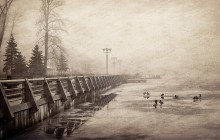 Foggy Morning ... / ***