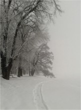 Foggy Februar / ***