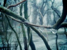Tropfen des Lebens .... / ...