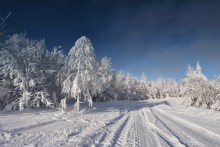 Winter-Straße / ******