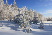 Abschied Winter / ***
