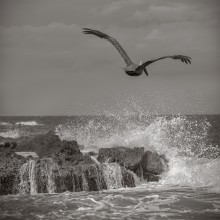 ...gone fishing / ...gone fishing