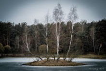 Schwestern / ***