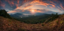/ Dawn "Wildschweine Pass" / / ***