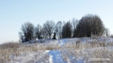 gentle fields / ***
