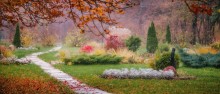 Spaziergang im Herbst / ***