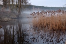 Ruhe und Frieden / ***