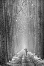 Road of Life / Picture taken at the Damse Vaart in the northwest of Belgium.