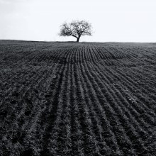 Minimalism / ***