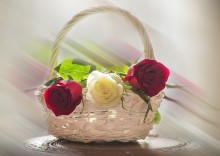 Geschenk / ***