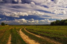 Über das Feld und den Himmel ... / ***