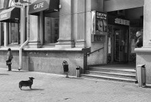 Das Café. / ***