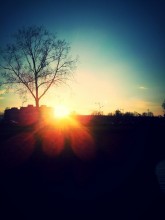Sonnenuntergang / ***