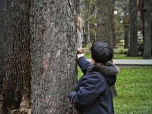 Gomel Park / ***