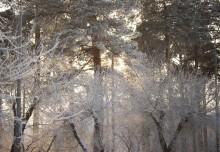 Winterabend / ***
