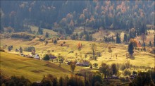 Von der Sonne gewärmt .... / ***