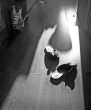 Licht XIX / ***