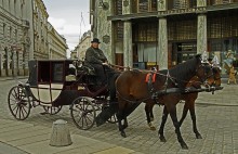 Auf modernen Straßen von Wien / ***