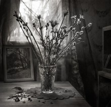 Frühling im alten Haus ... / ...