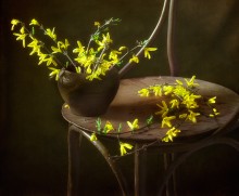 Der Frühling beginnt mit einem gelben ... / ...