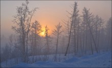 -47C / ***