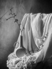 HOME ... / ...
