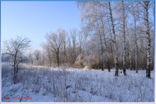 Das Ende des Winters / ***