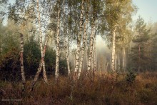 Irgendwo zwischen Sommer und Herbst ... / ***